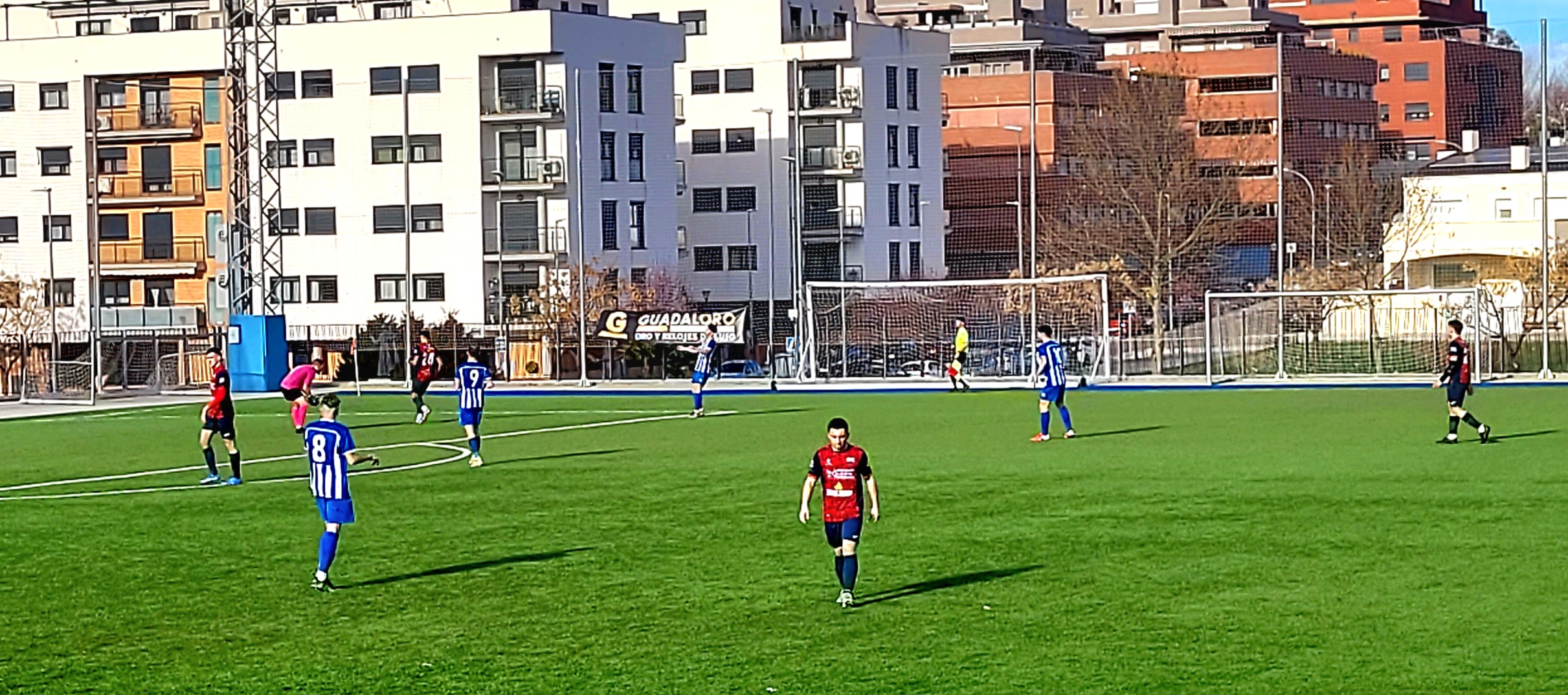 A.D. HOGAR B- TÓRTOLA